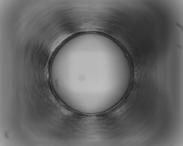 X0000103440885200809261751
