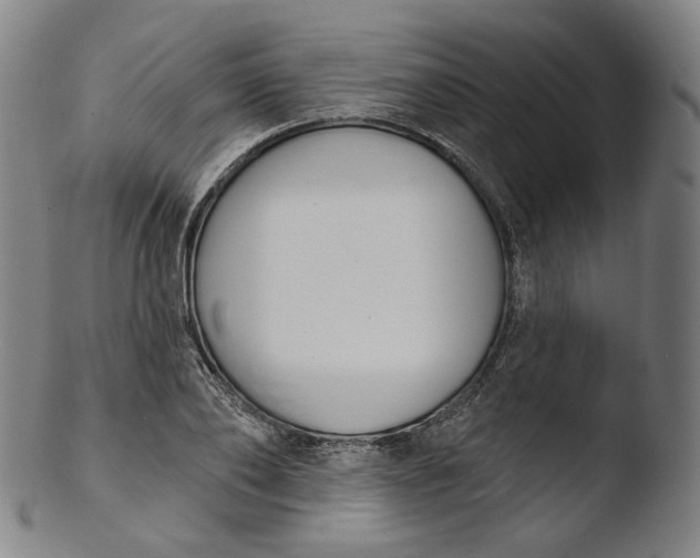 X0000103440886200809261751