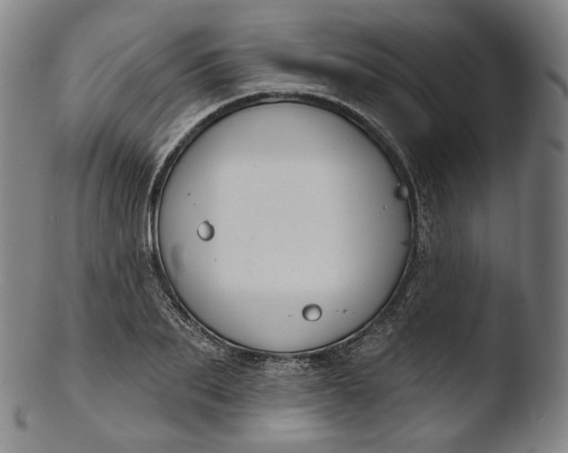 X0000103440887200809261751