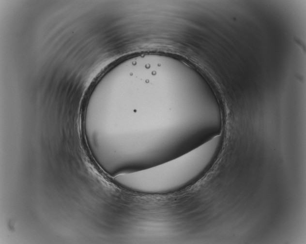 X0000103440888200809261751