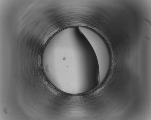 X0000103440889200809261751