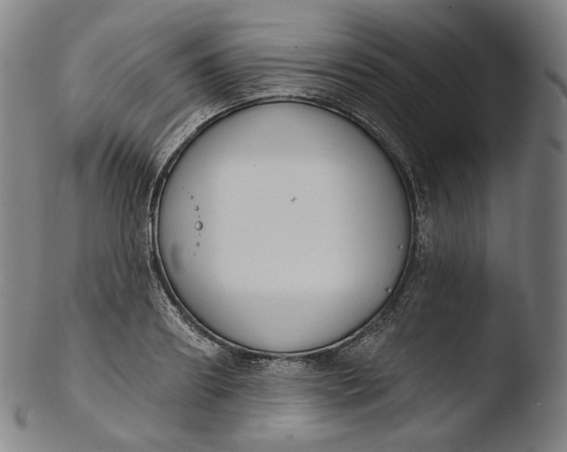 X0000103440890200809261751