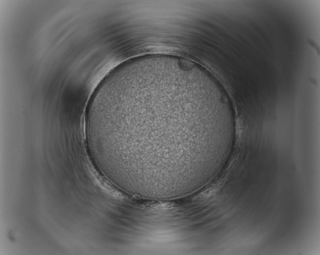 X0000103440891200809261751