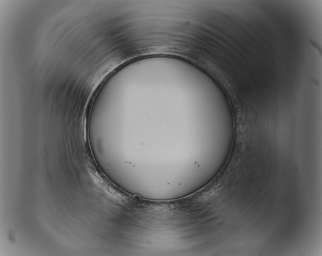 X0000103440892200809261751