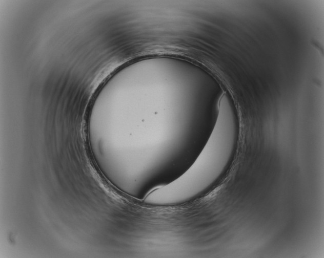 X0000103440893200809261751