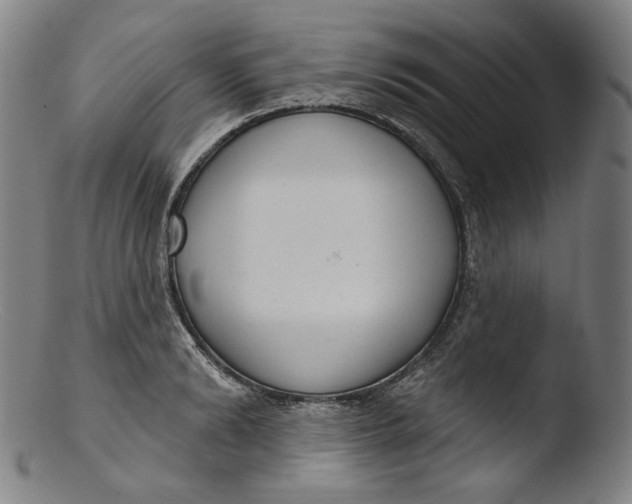 X0000103440894200809261751