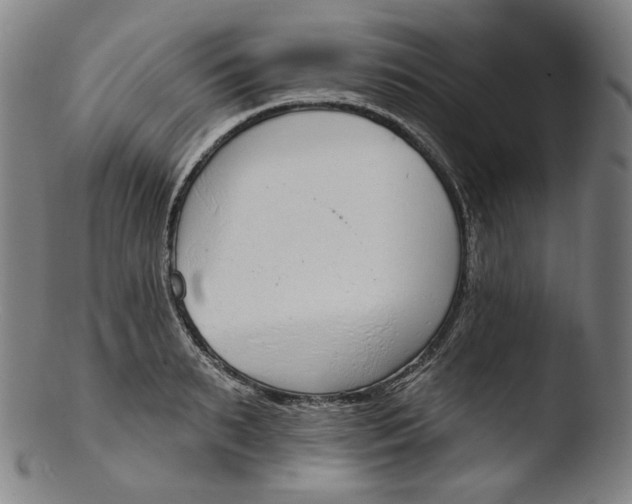 X0000103440895200809261751