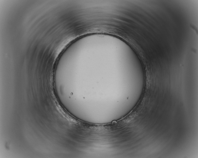 X0000103440896200809261751