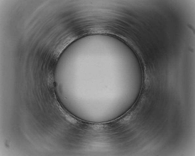 X0000103440897200809261751