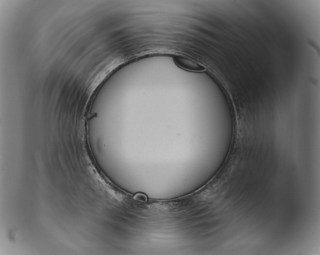 X0000103440898200809261751