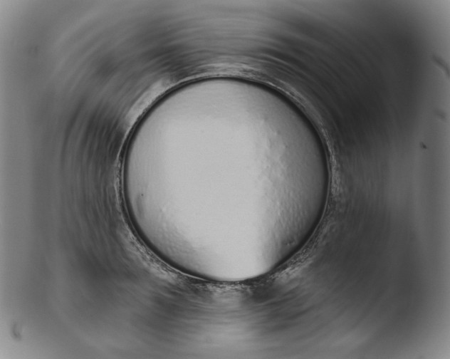 X0000103440899200809261751