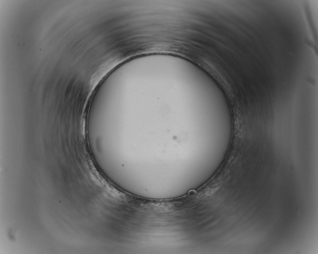 X0000103440900200809261751