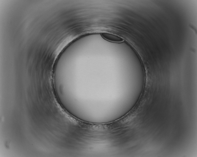 X0000103440901200809261751