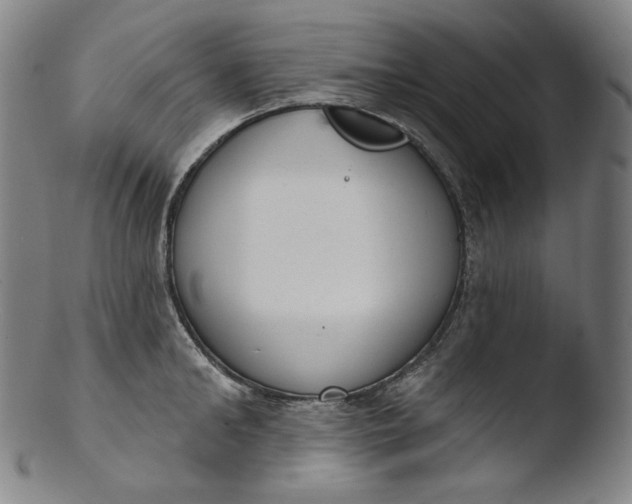 X0000103440902200809261751