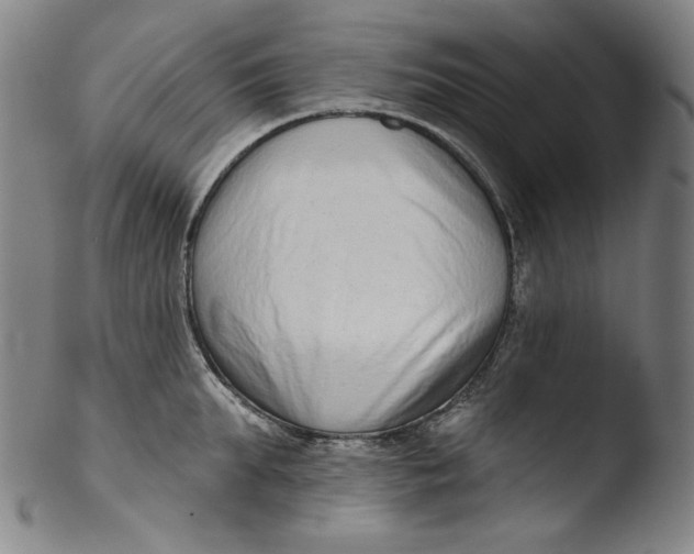 X0000103440903200809261751