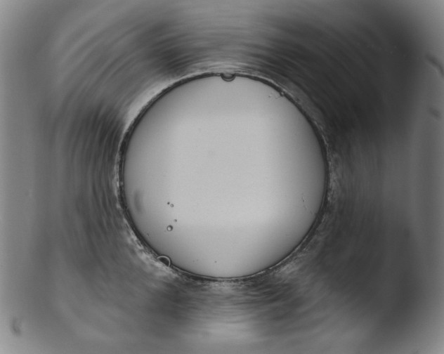 X0000103440904200809261751