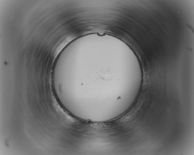 X0000103440906200809261751