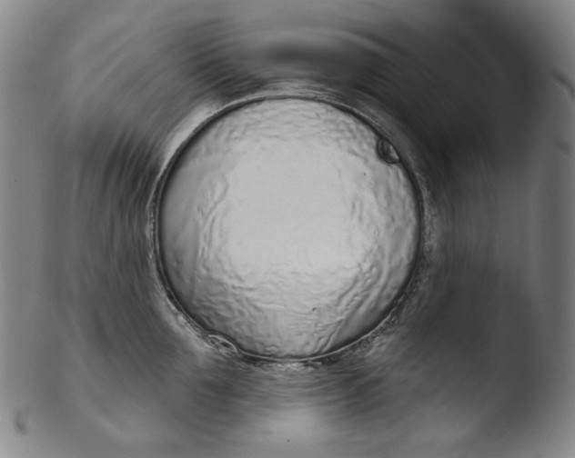 X0000103440907200809261751