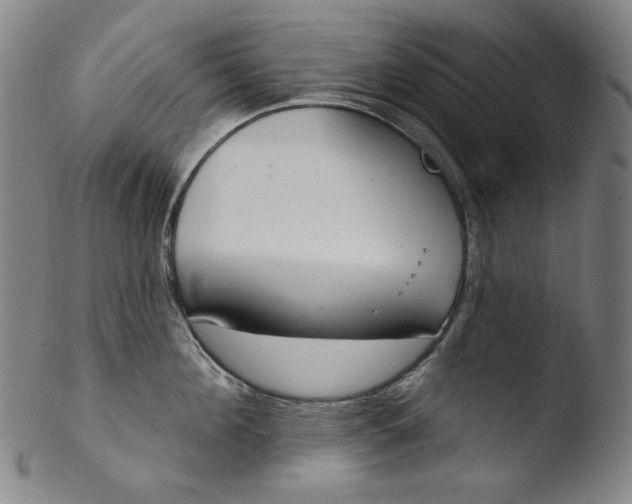 X0000103440908200809261751