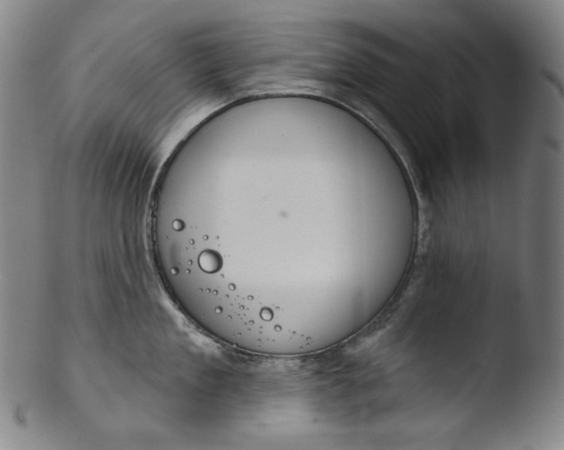X0000103440909200809261751