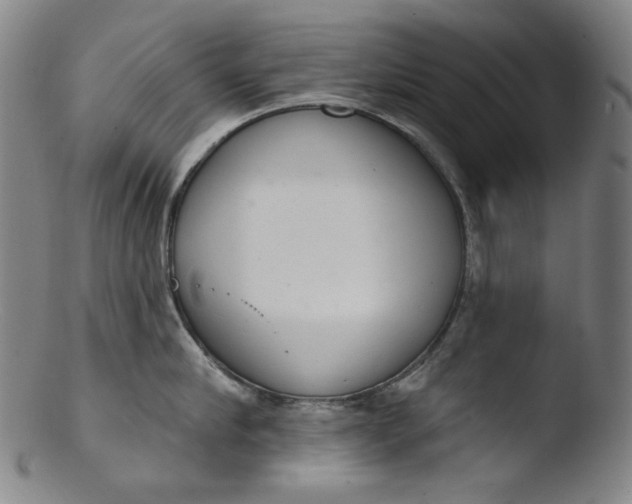 X0000103440910200809261751
