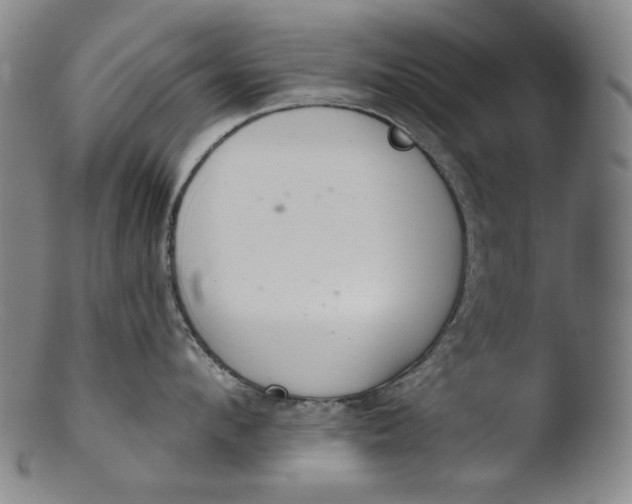 X0000103440912200809261751