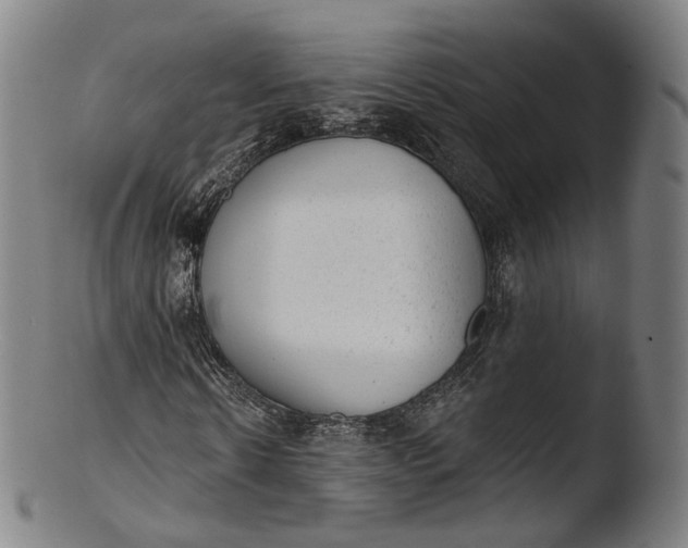 X0000103440914200809261750