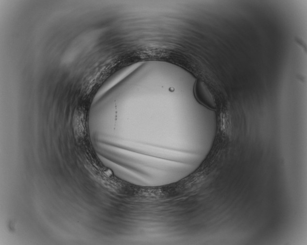 X0000103440915200809261750