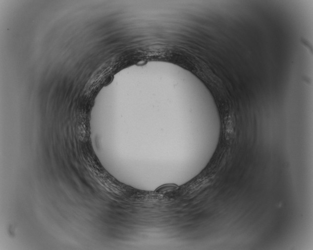 X0000103440916200809261750