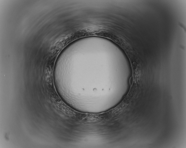X0000103440917200809261750
