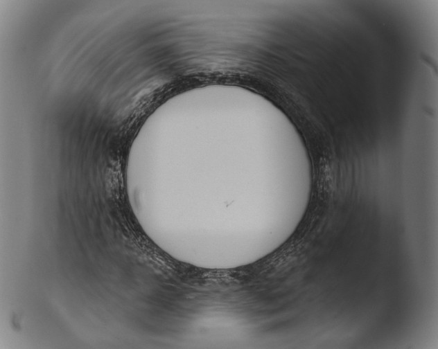 X0000103440918200809261750