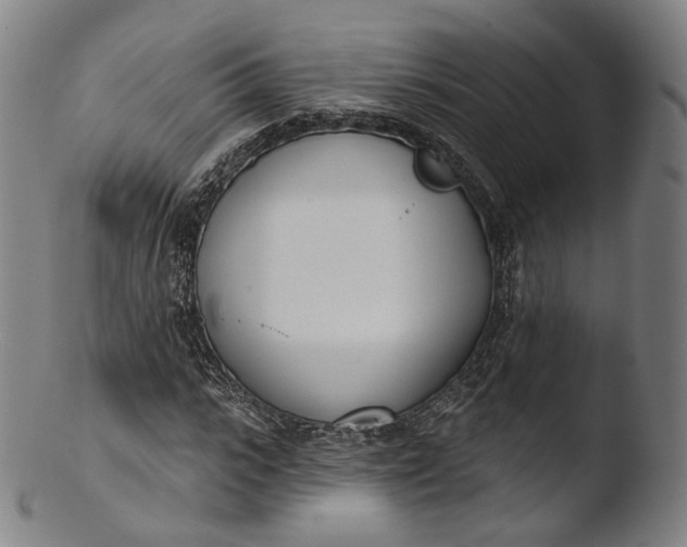 X0000103440919200809261750