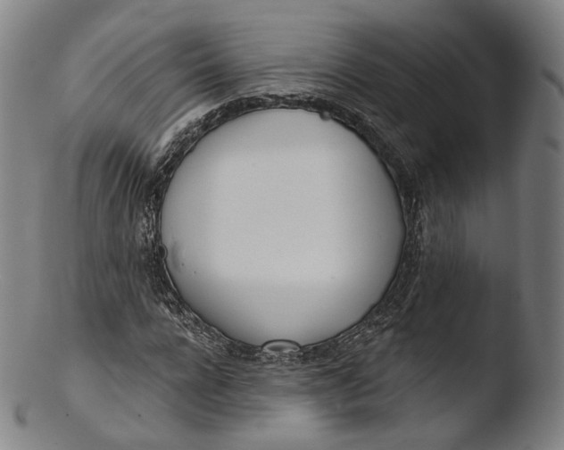 X0000103440920200809261750