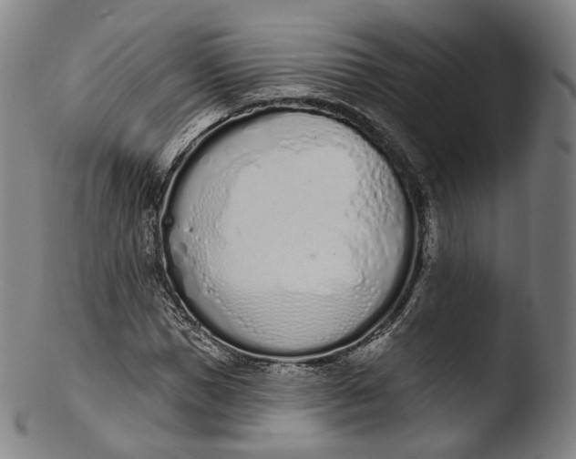 X0000103440921200809261750