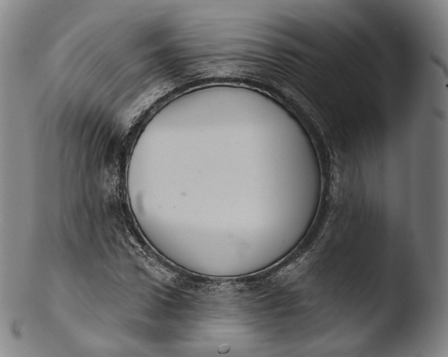 X0000103440922200809261750