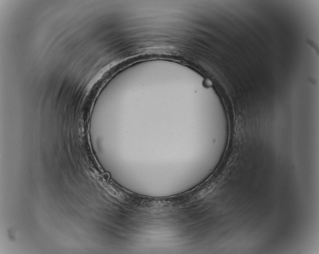 X0000103440923200809261750
