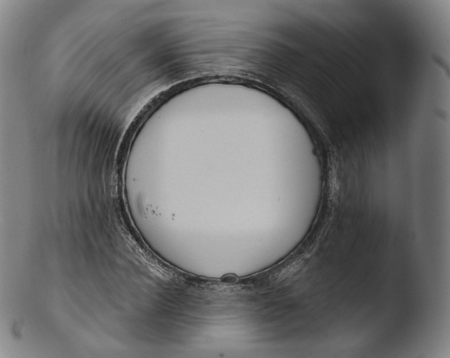 X0000103440924200809261750