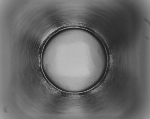 X0000103440925200809261750