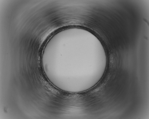 X0000103440926200809261750