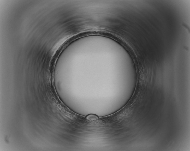 X0000103440927200809261750
