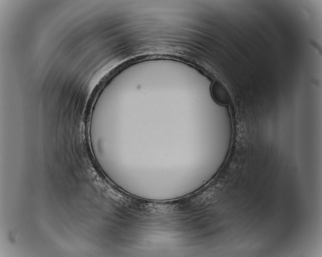 X0000103440928200809261750