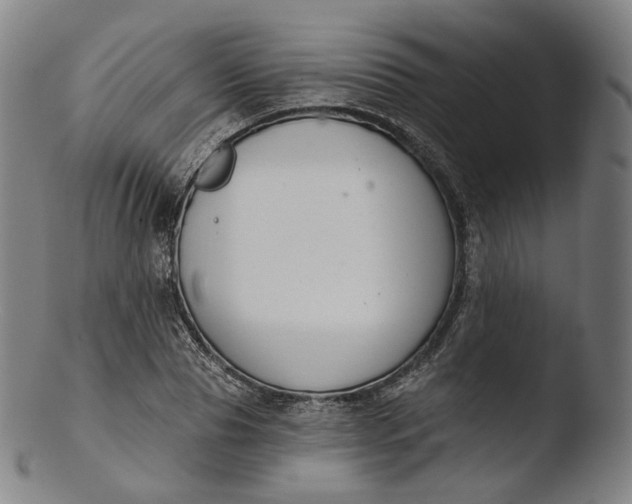 X0000103440929200809261750