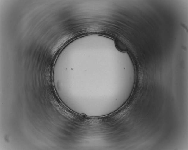 X0000103440930200809261750