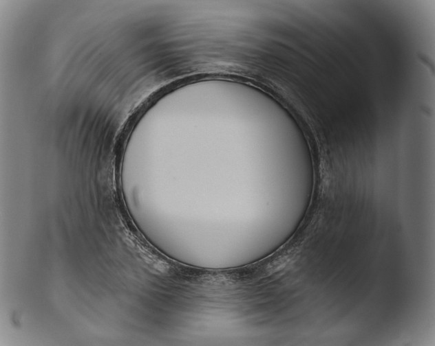 X0000103440931200809261750