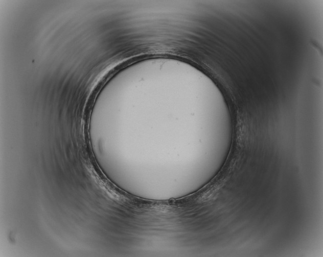 X0000103440932200809261751
