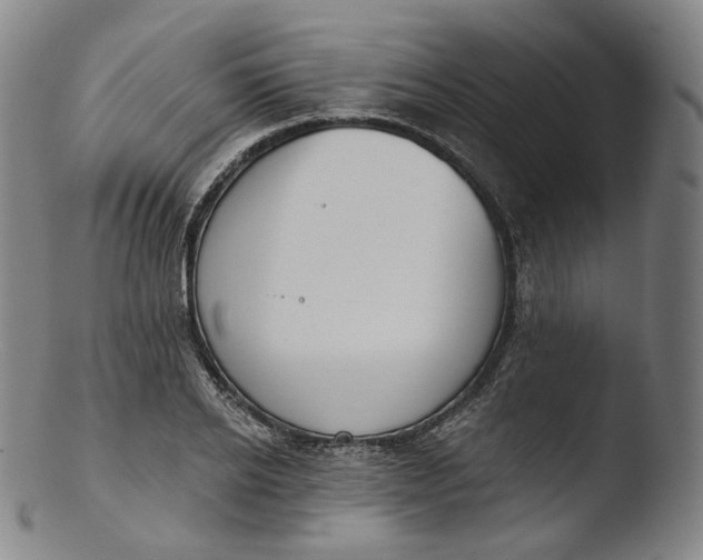 X0000103440934200809261751
