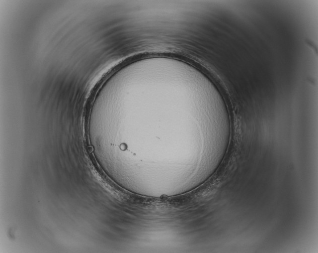 X0000103440935200809261751