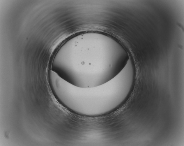 X0000103440936200809261751