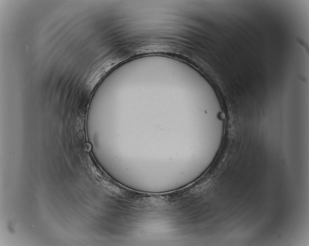 X0000103440937200809261751