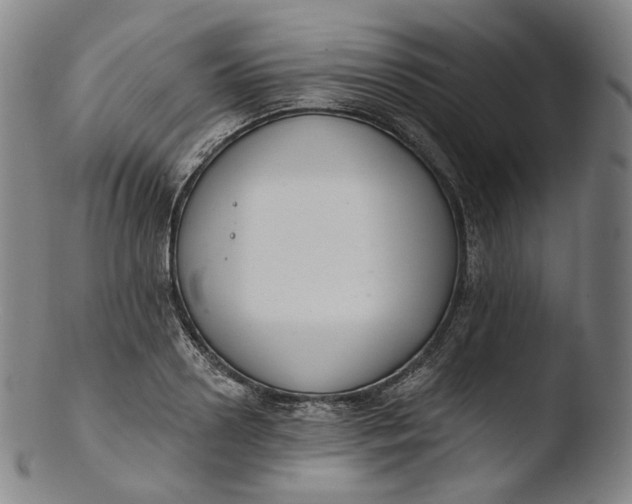 X0000103440938200809261751